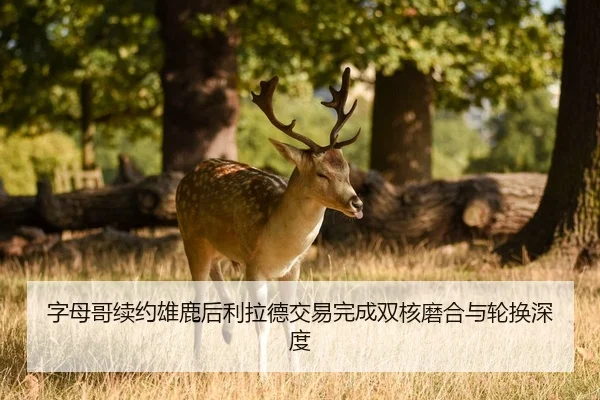 zi-mu-ge-xu-yue-xiong-lu-hou-li-la-de-jiao-yi-wan-cheng-shuang-he-mo-he-yu-lun-huan-shen-du-3-911.jpg