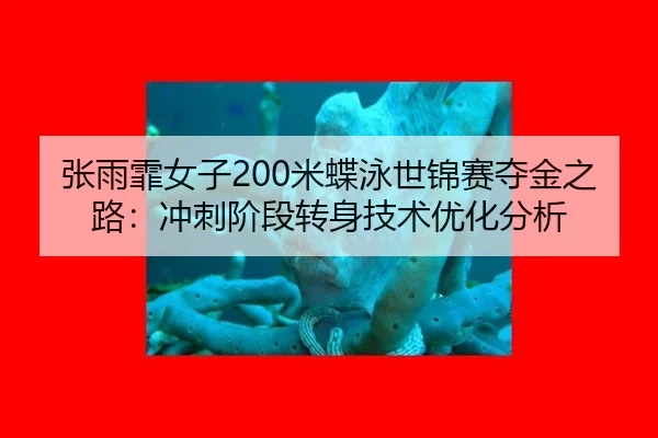 张雨霏女子200米蝶泳世锦赛夺金之路：冲刺阶段转身技术优化分析